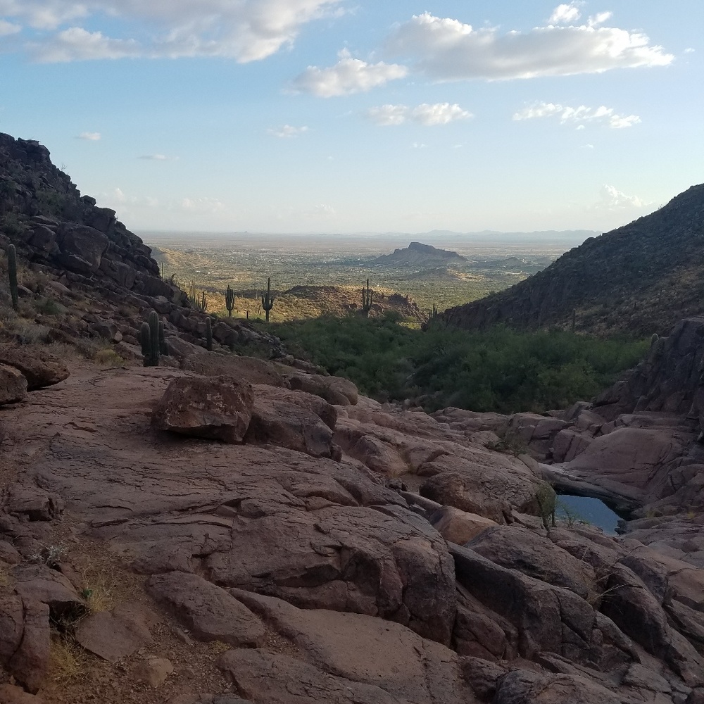 Meet your Posher, Amanda